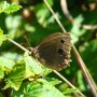 19-08-2012 Beskid Niski