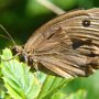 19-08-2012 Beskid Niski